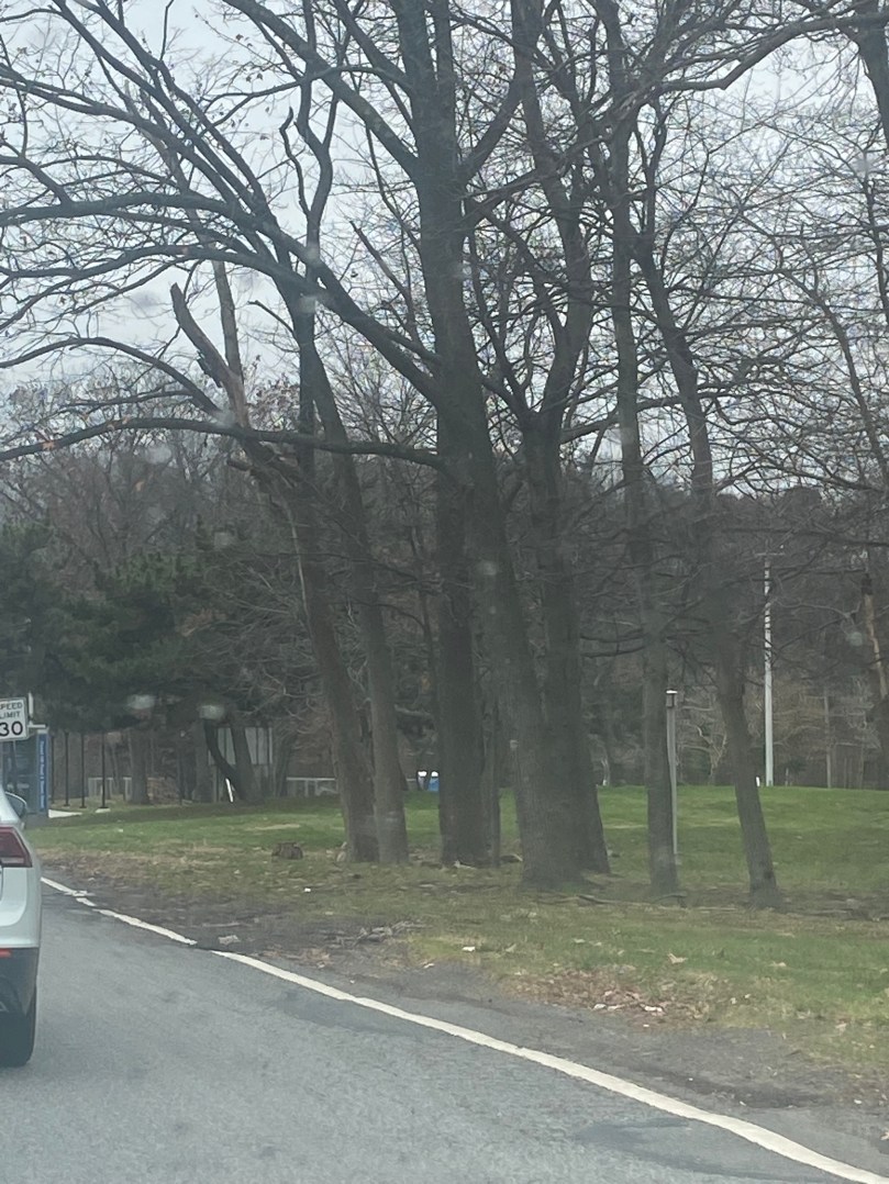 New Sidewalks Are Coming To A Busy Street On Staten&nbsp;Island