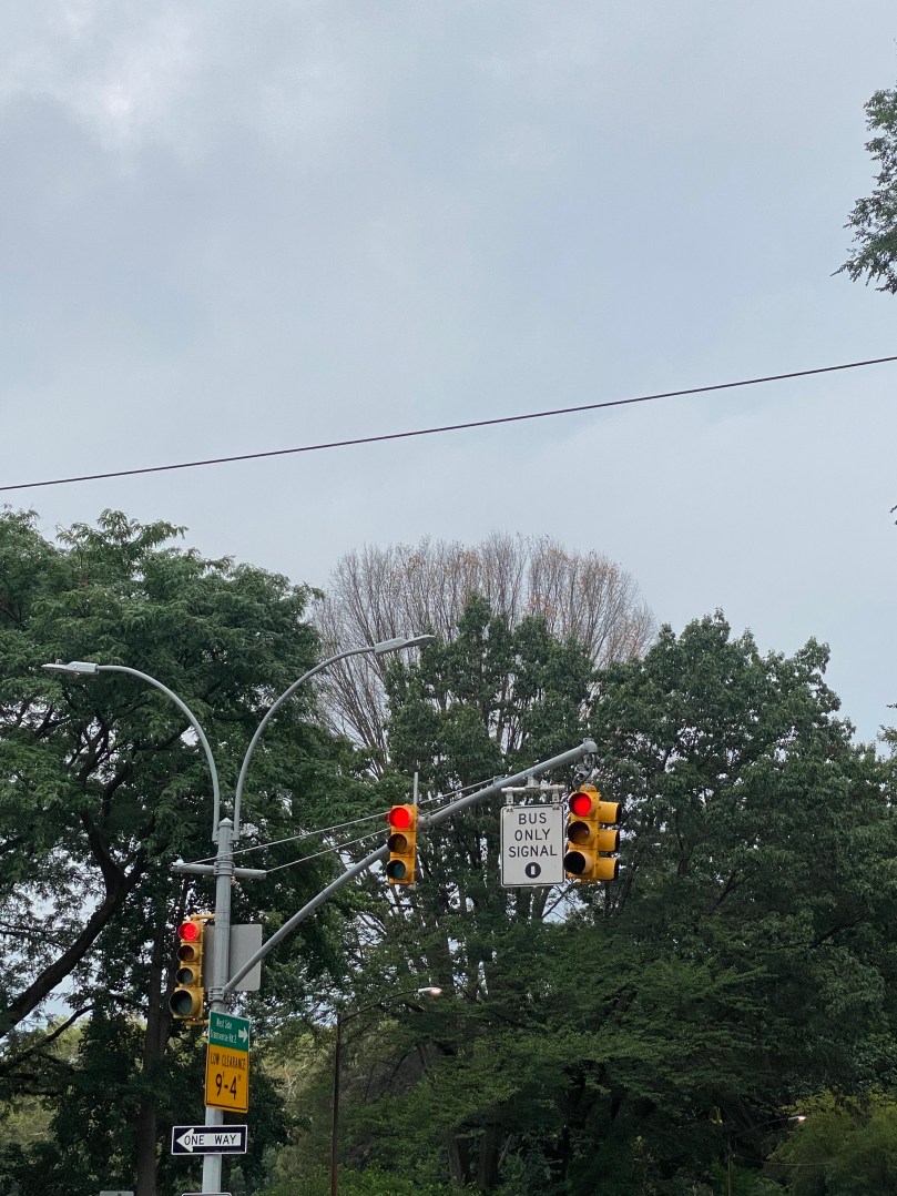 Could We See More Bus-Only Traffic Signals in&nbsp;NYC?