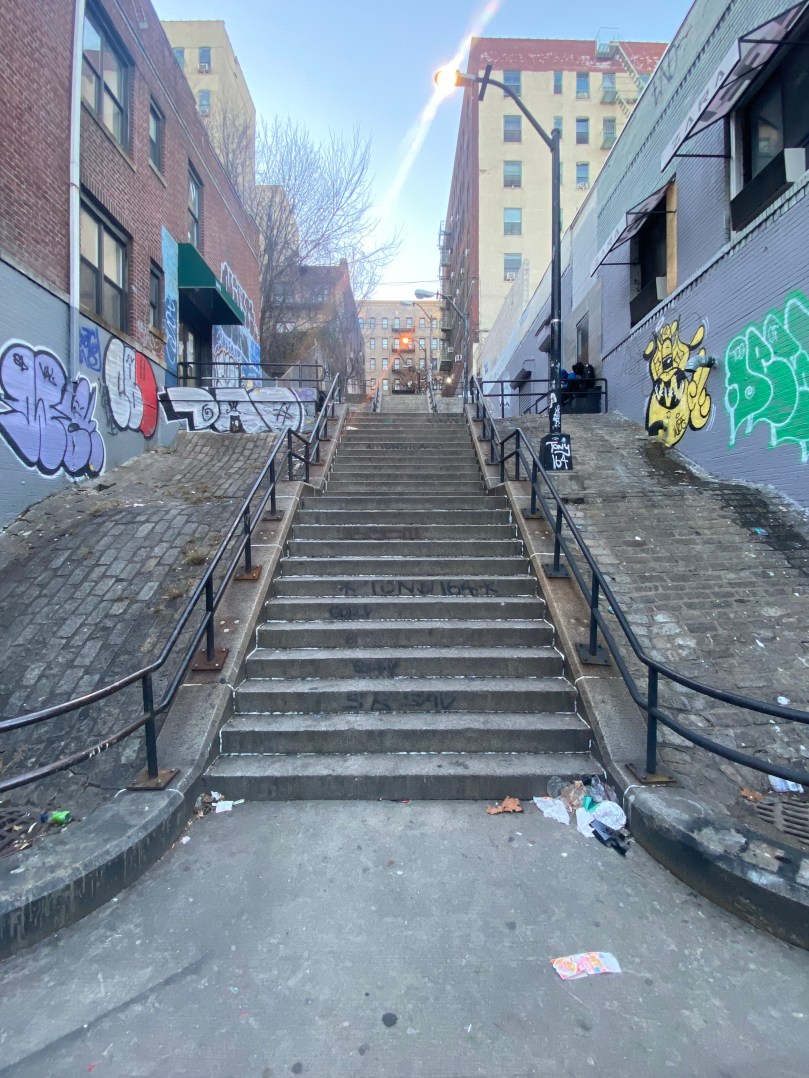 How Can Step Streets in The West Bronx Be&nbsp;Improved?